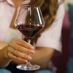 Stölzle Lausitz Tilbud|Glas-Revolution bourgogne glas 545 ml 6 stk