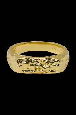 Silke Renée Ringe-SRBlurry Signet Ring