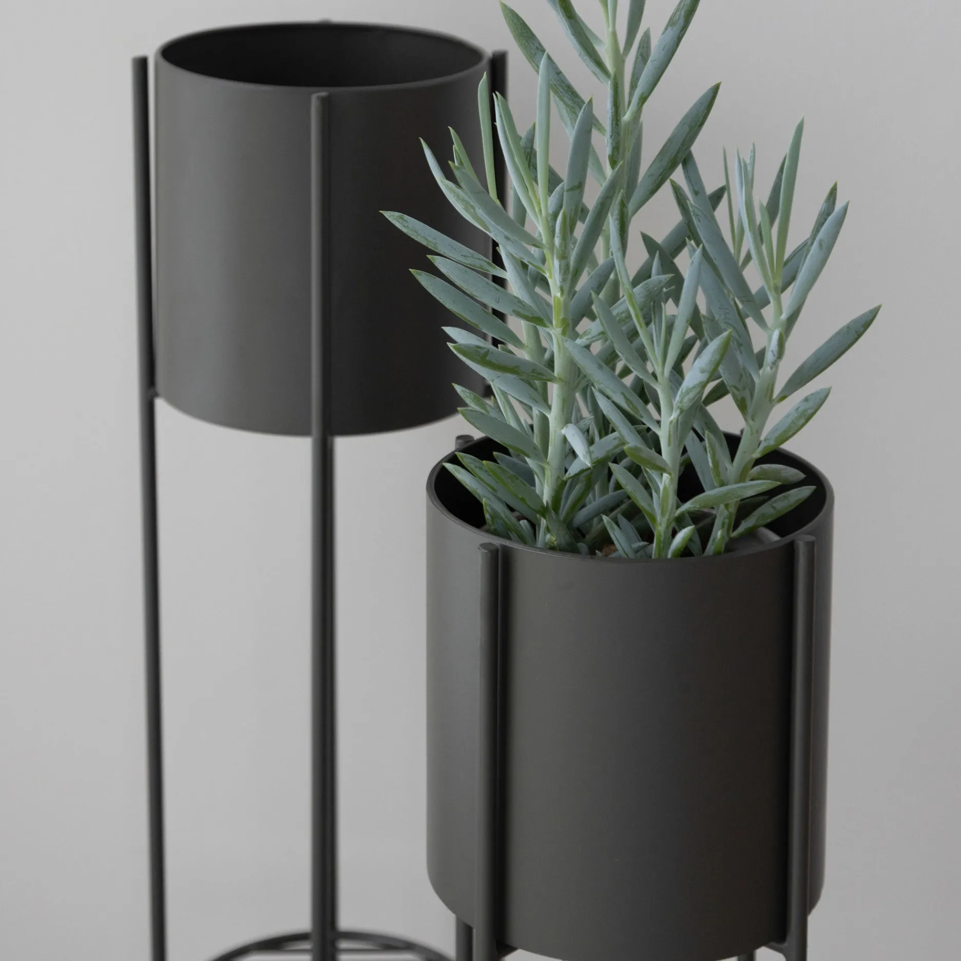 Furniture by Sinnerup Urtepotter-Viola urtepotteholder H60 cm